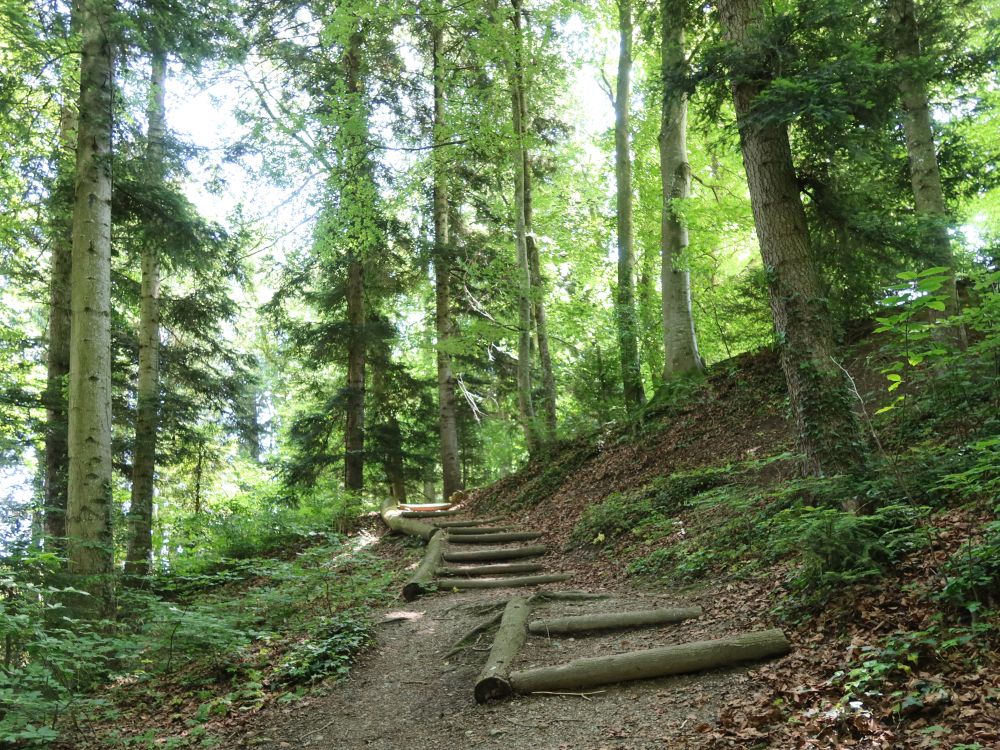 Treppe im Bachtöbeli