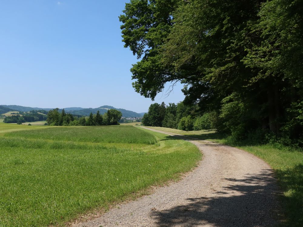 Weg am Waldrand