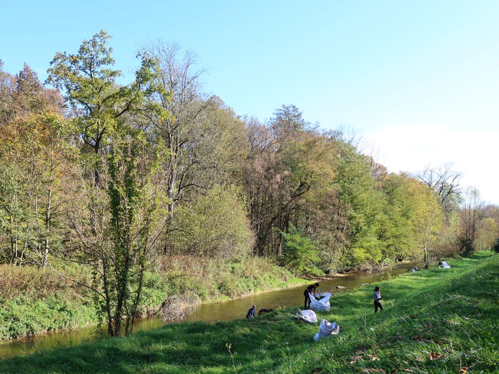 Aufräumarbeiten an der Murg