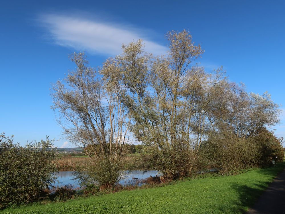 Ägelsee