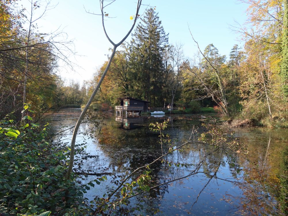 Teich im Gmeindholz