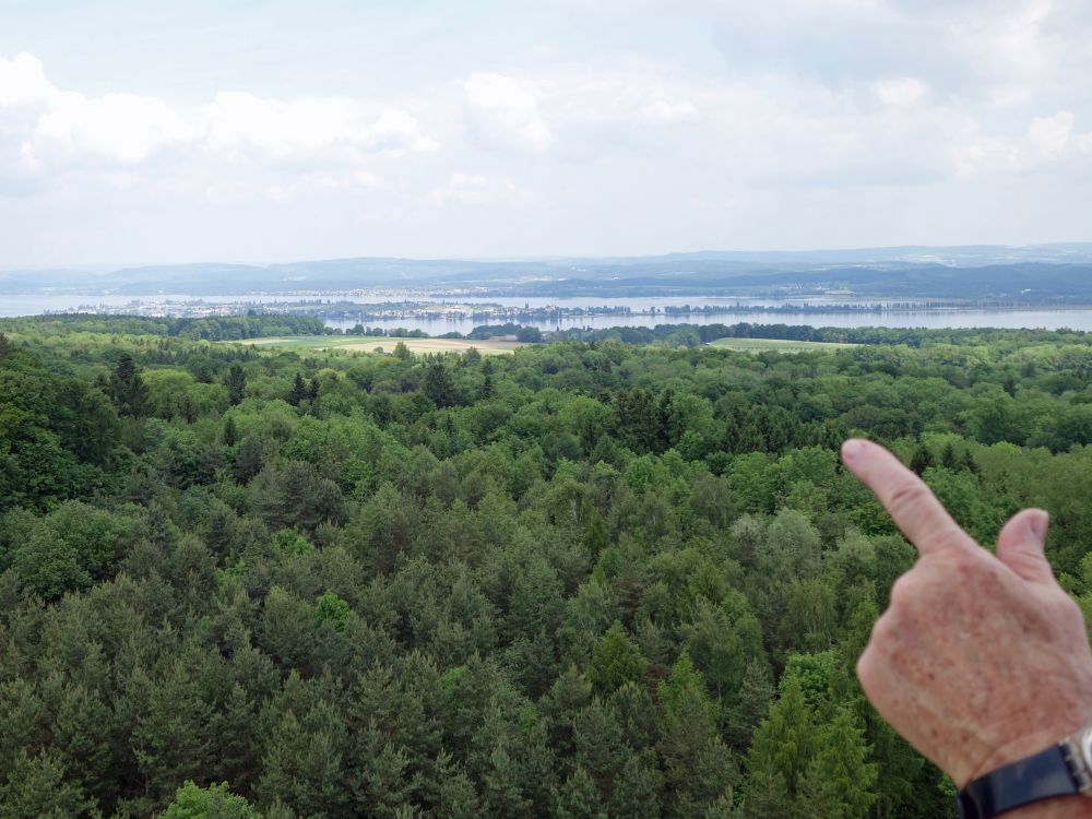 Blick Richtung Reichenau