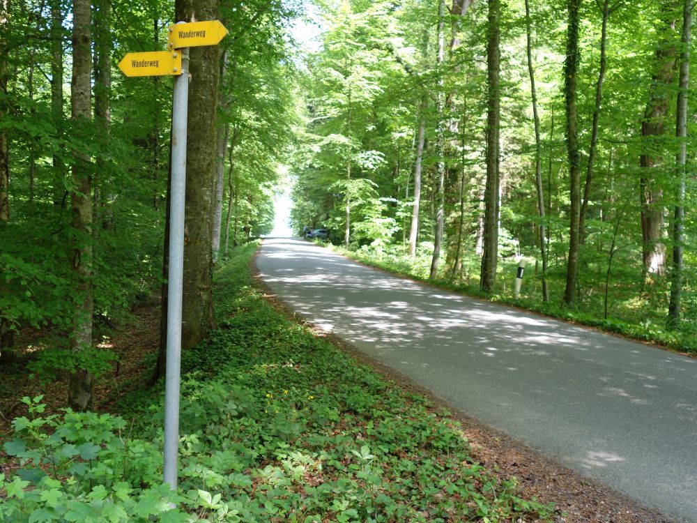 Wolfsbergstrasse