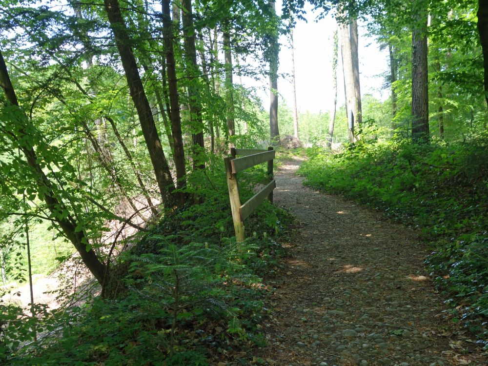 Waldweg