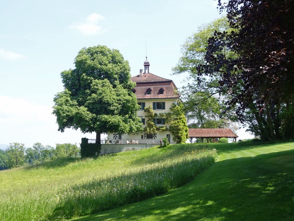 Schloss Wolfsberg