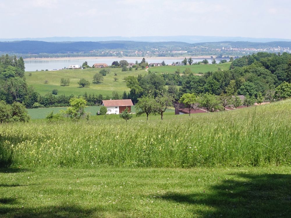 Blick zum Untersee