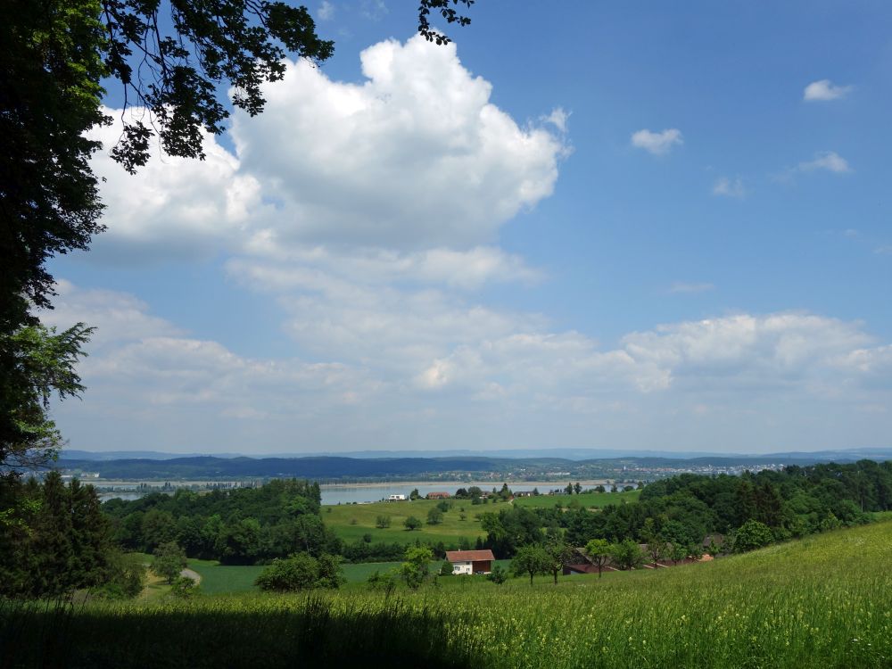 Blick zum Untersee