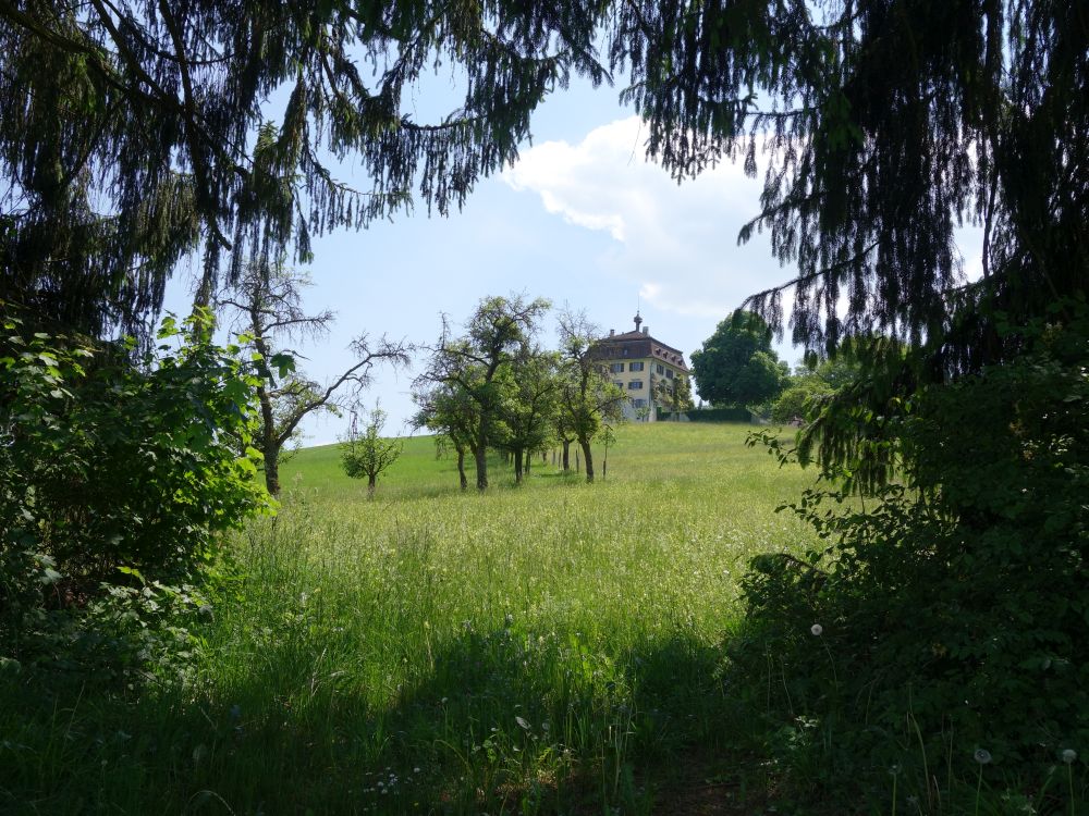 Schloss Wolfsberg