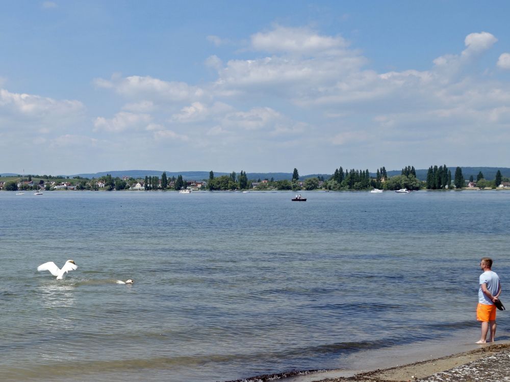 Blick zur Reichenau