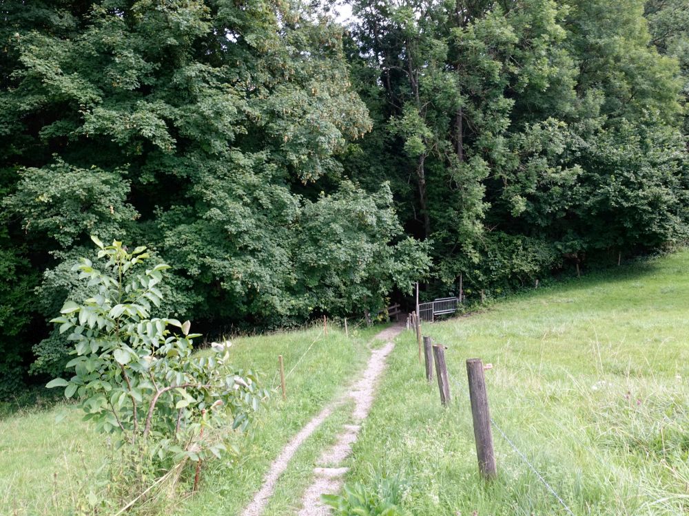 Weg zum Dorfbach