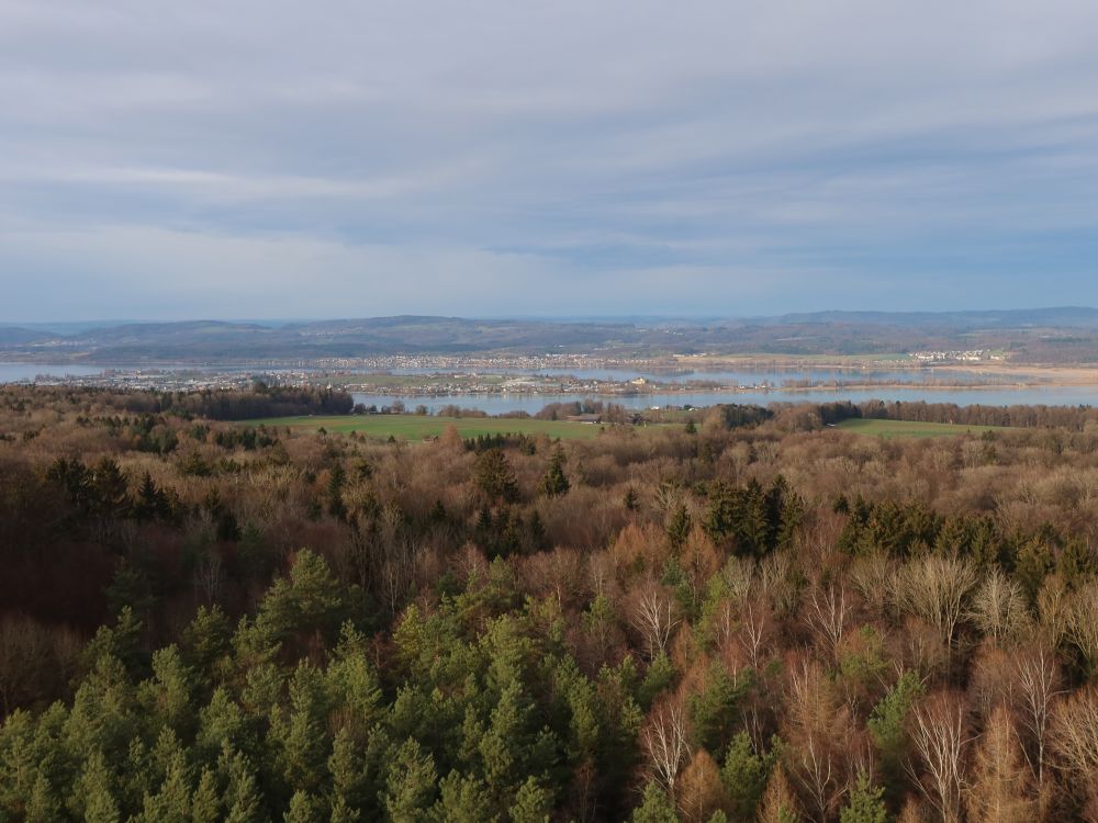 Blick zur Insel Reichenau