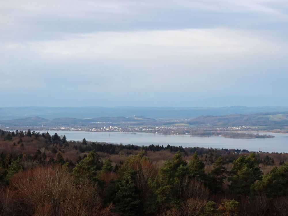 Radolfzell und Mettnau