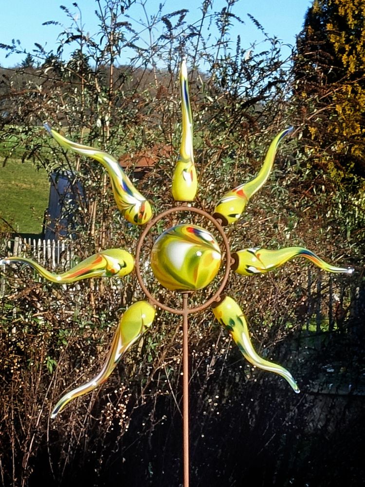 Sonnenstern im Garten