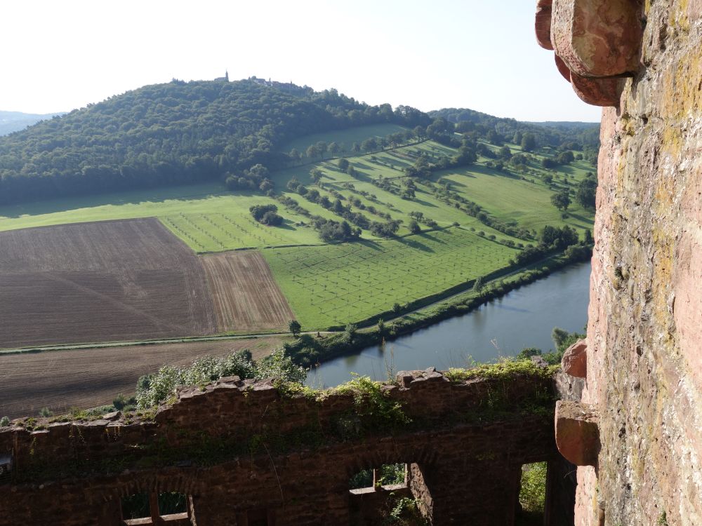 Neckar und Dilsberg