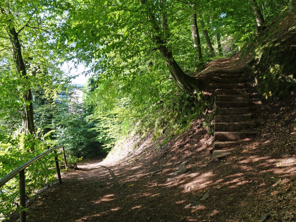 Wanderweg beu Burg Schadeck