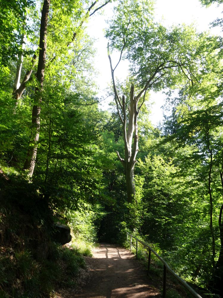 Wanderweg