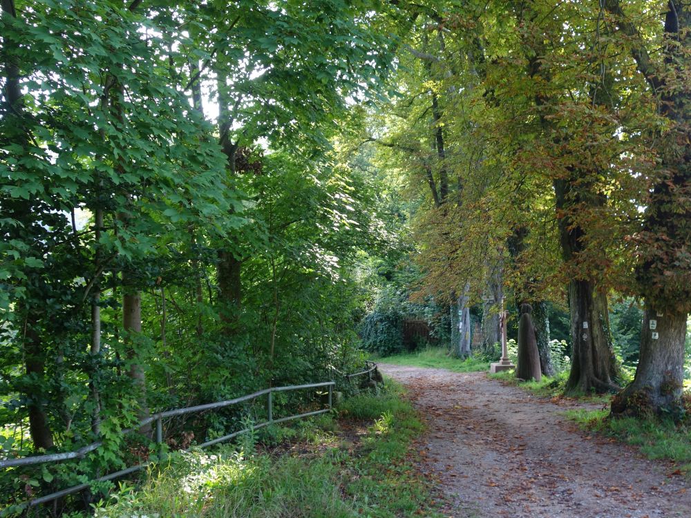 Wanderweg bei Hinterburg