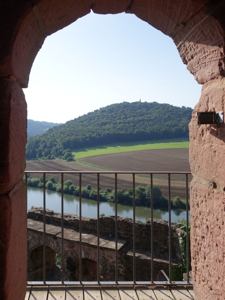 Blick zum Dilsberg