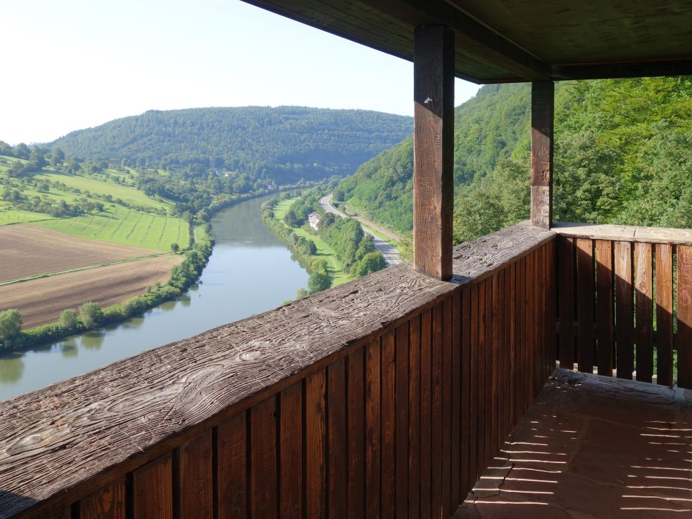 Blick auf den Neckar