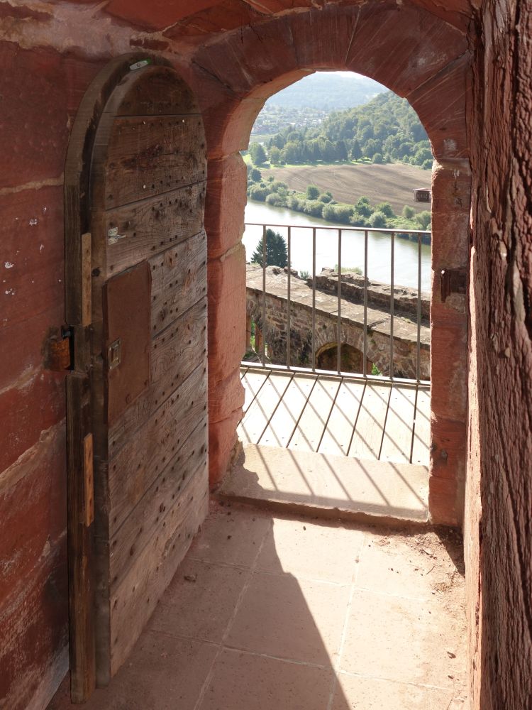 Blick auf den Neckar