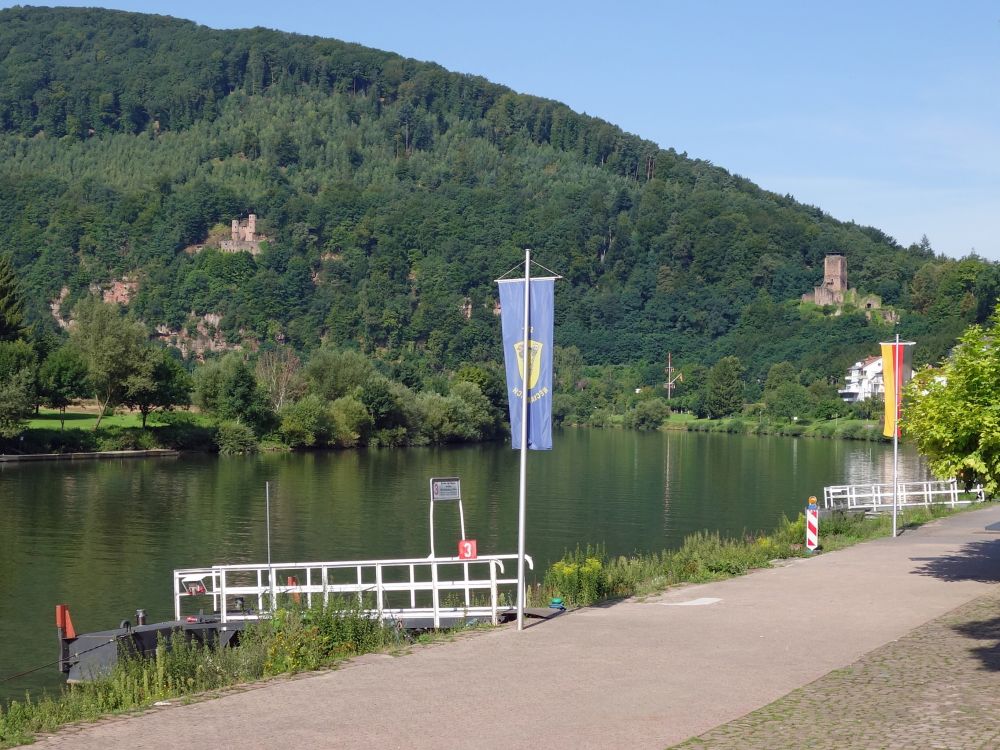 Burg Schadeck und Hinterburg berm Neckar