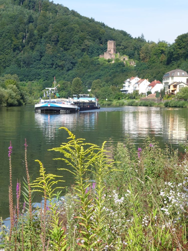 Hinterburg und Neckar