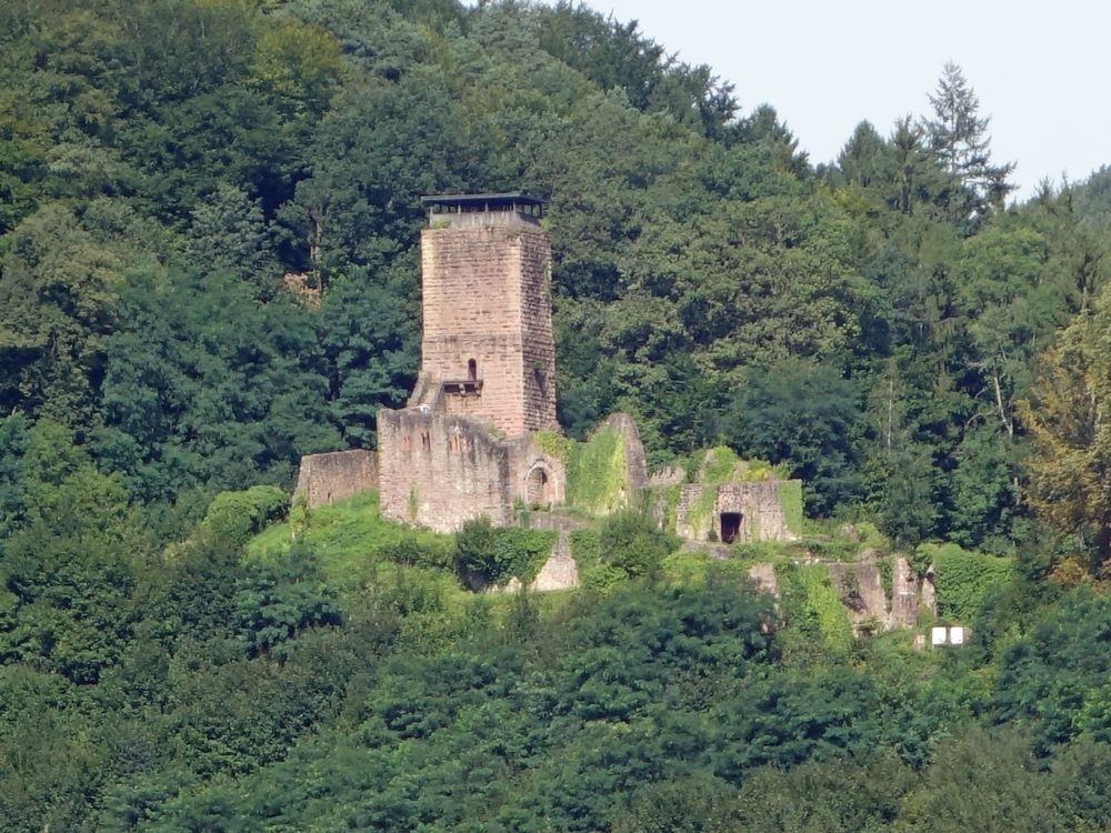 Hinterburg