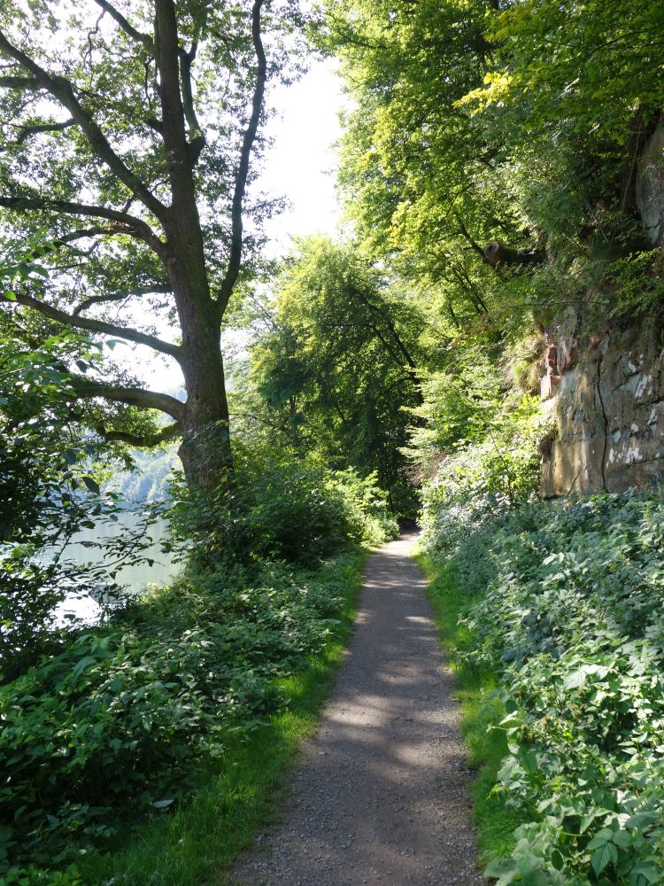 Wanderweg zum Dilsberg