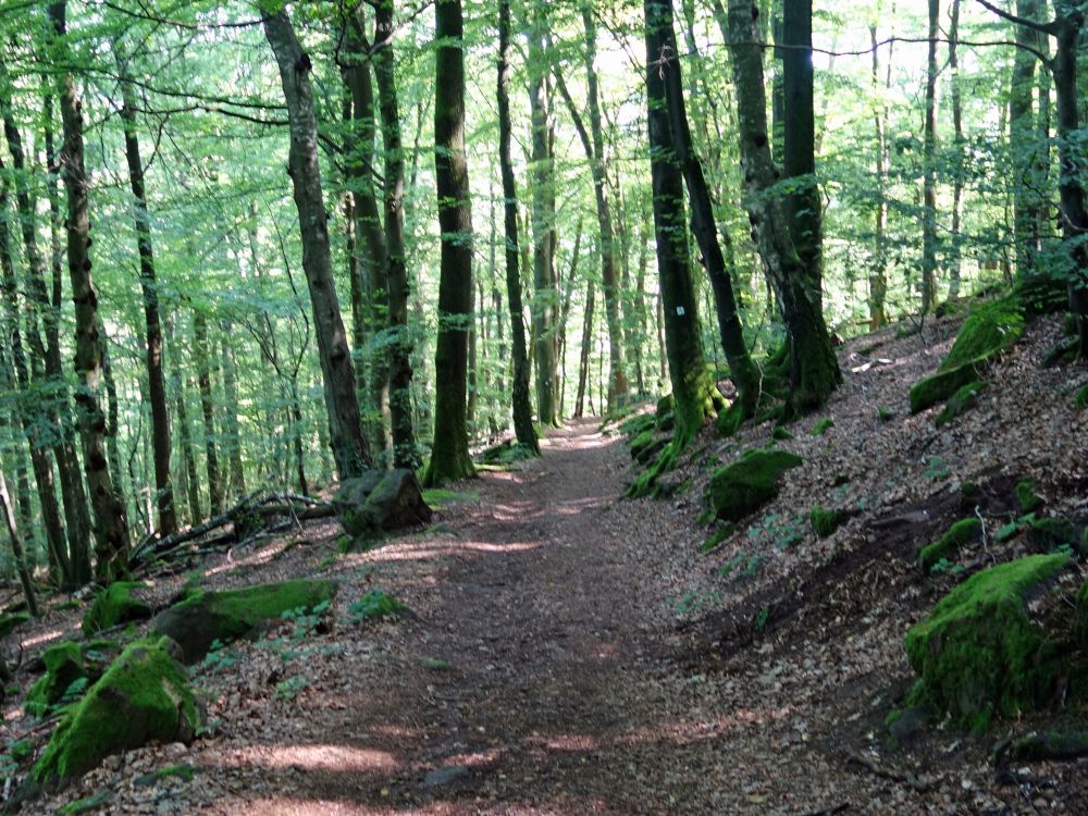 Wanderweg zum Dilsberg