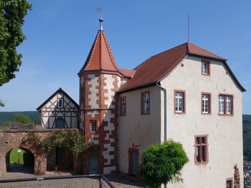 Burg Dilsberg