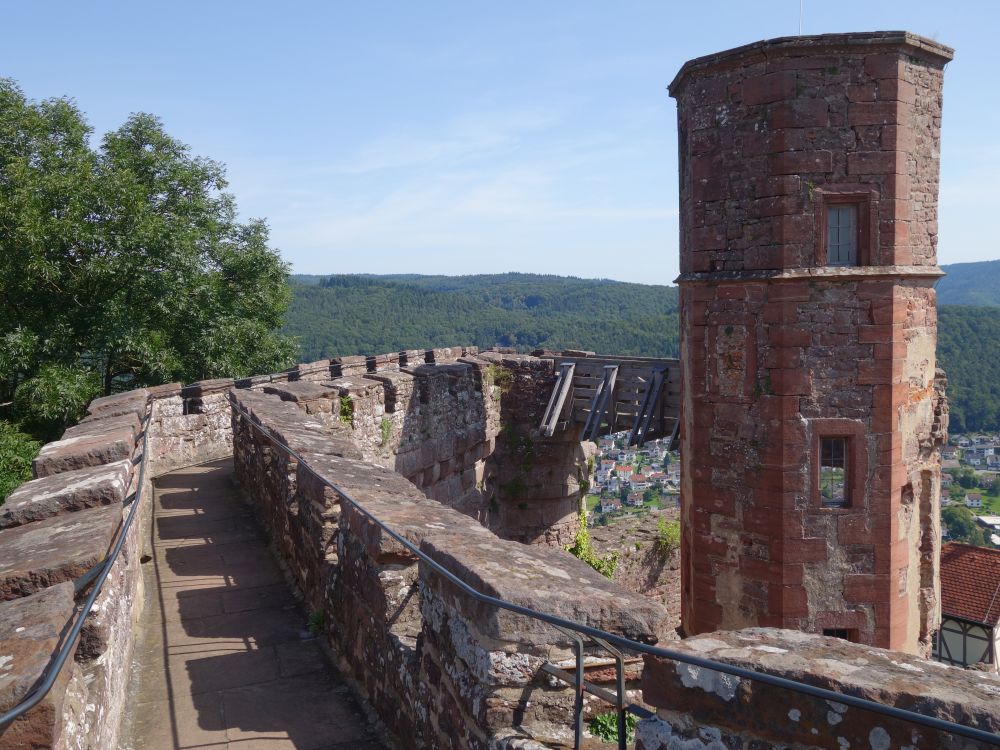 Burg Dilsberg