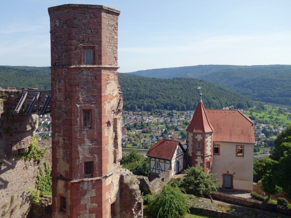 Burg Dilsberg