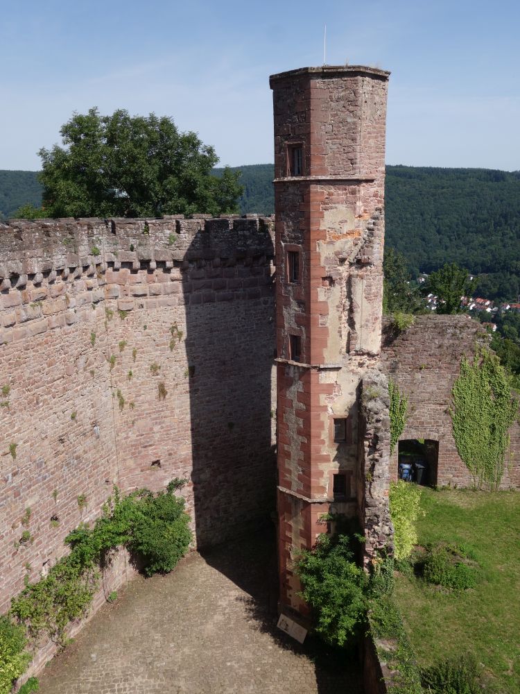 Burg Dilsberg