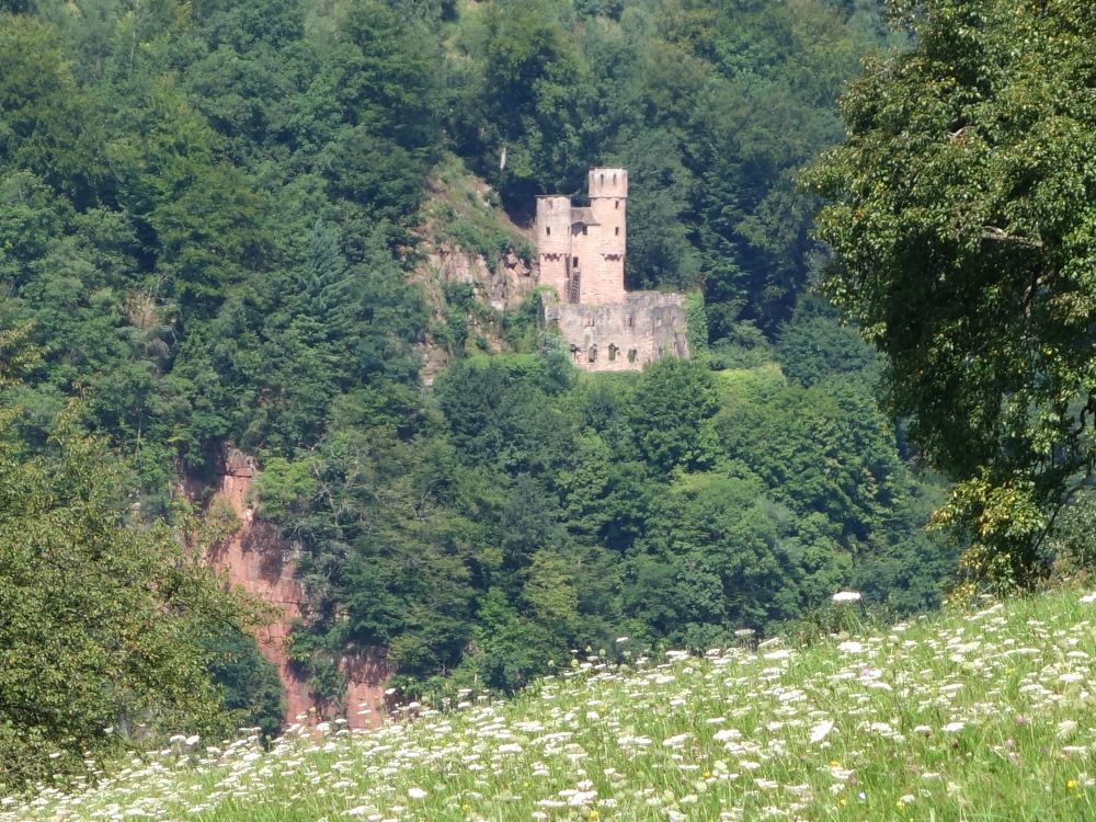 Burg Schadeck