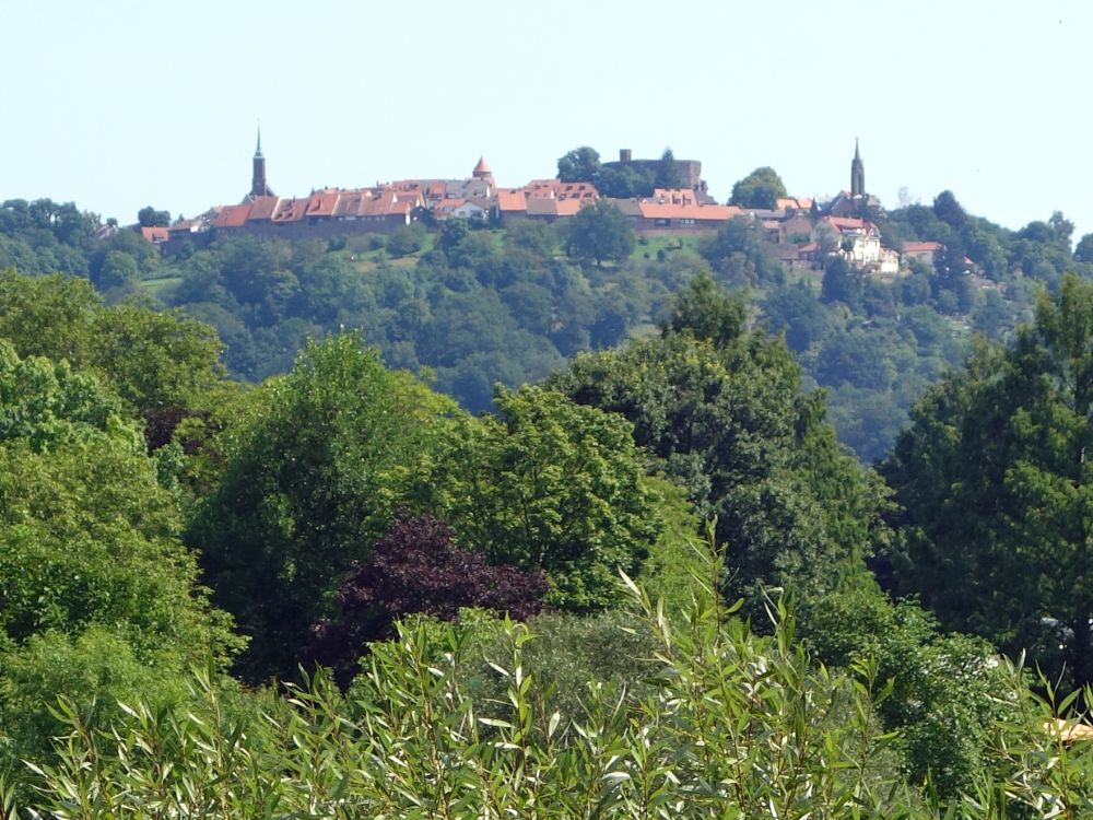 Dilsberg