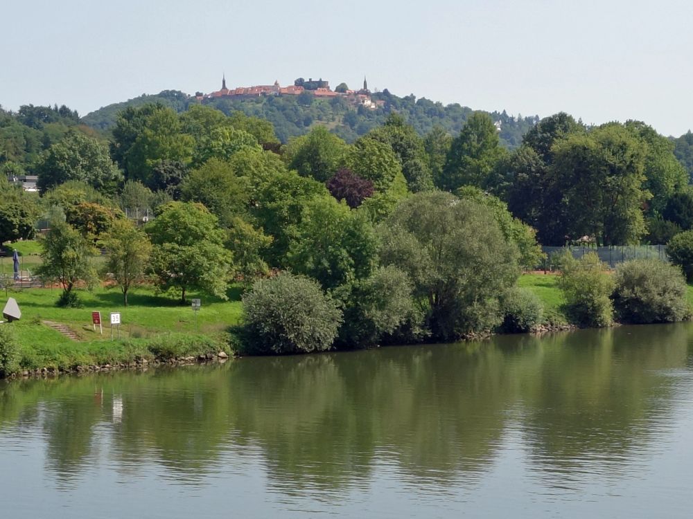 Dilsberg und Neckar