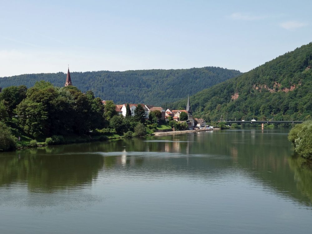 Kleingemnd und Neckar