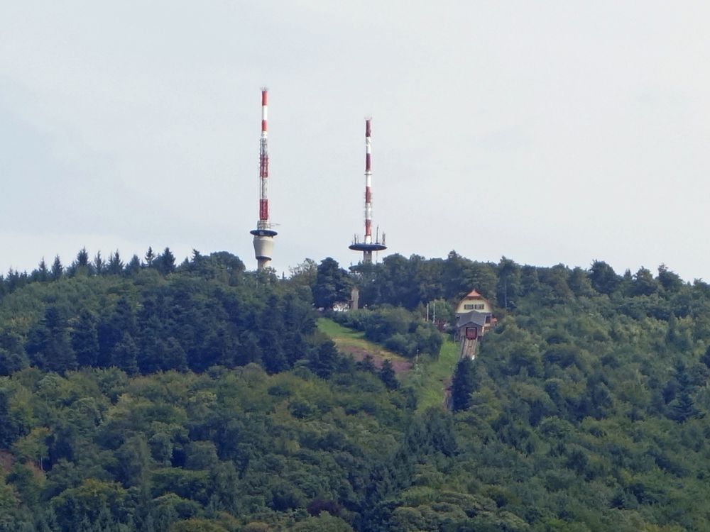 Knigstuhl