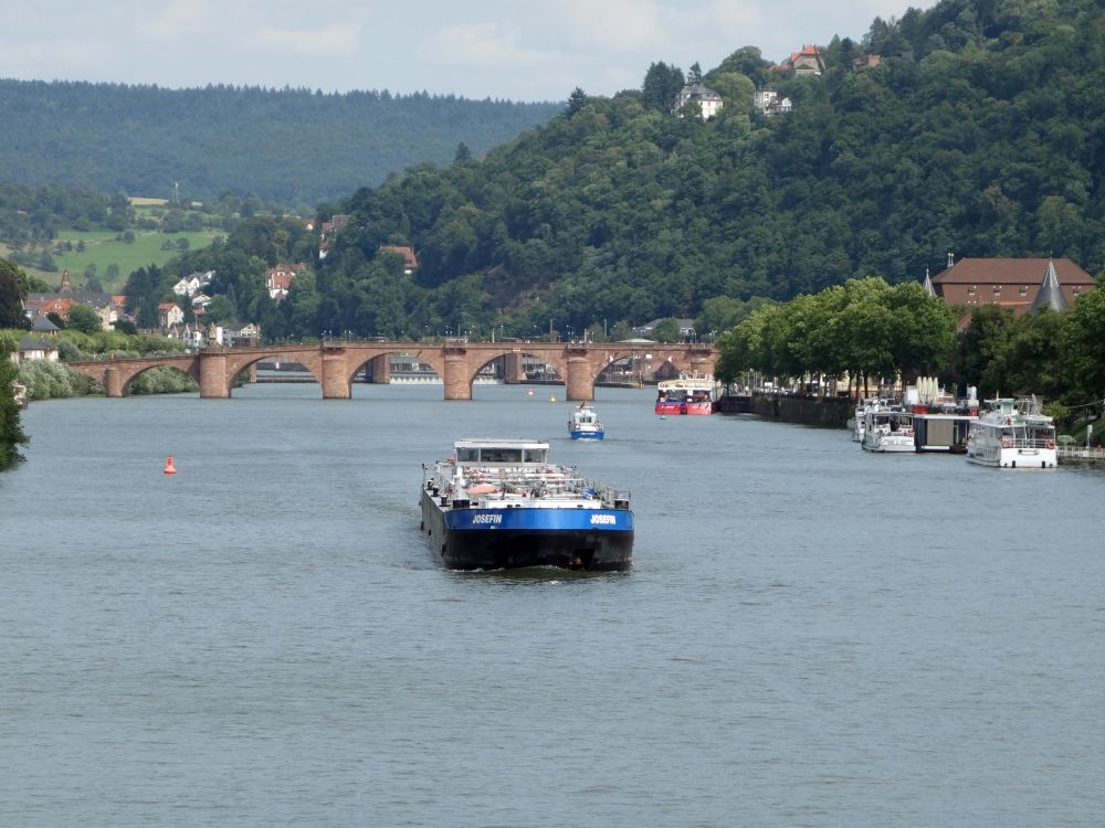 Neckar und Alte Brcke