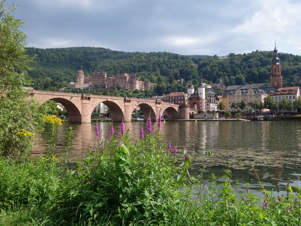 Schloss Heidelberg und Alte Brcke