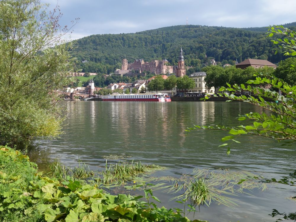 Schloss Heidelberg berm Neckar