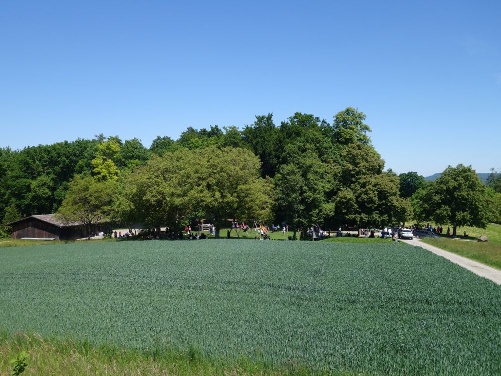Grillplatz Höri