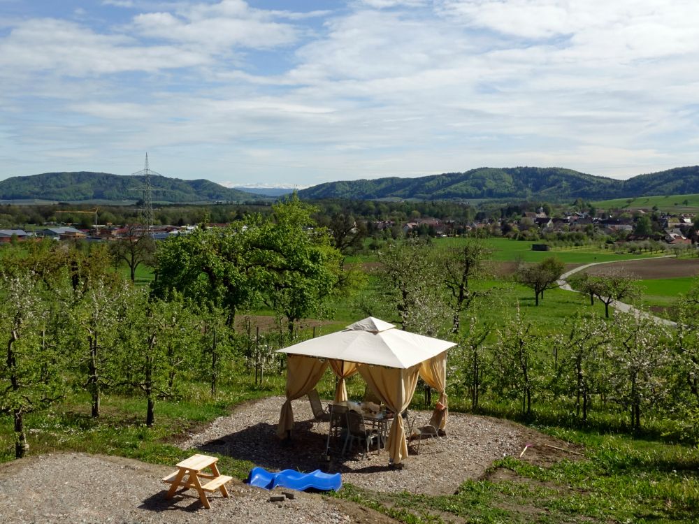 Garten über Nenzingen