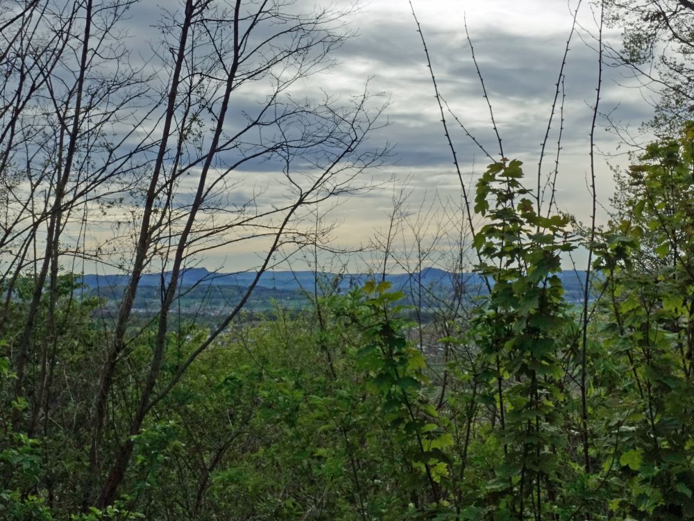 Blick von Ruine Nellenberg auf Hegauberge