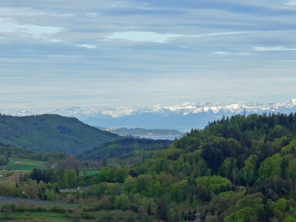 Überlinger See und Alpensicht