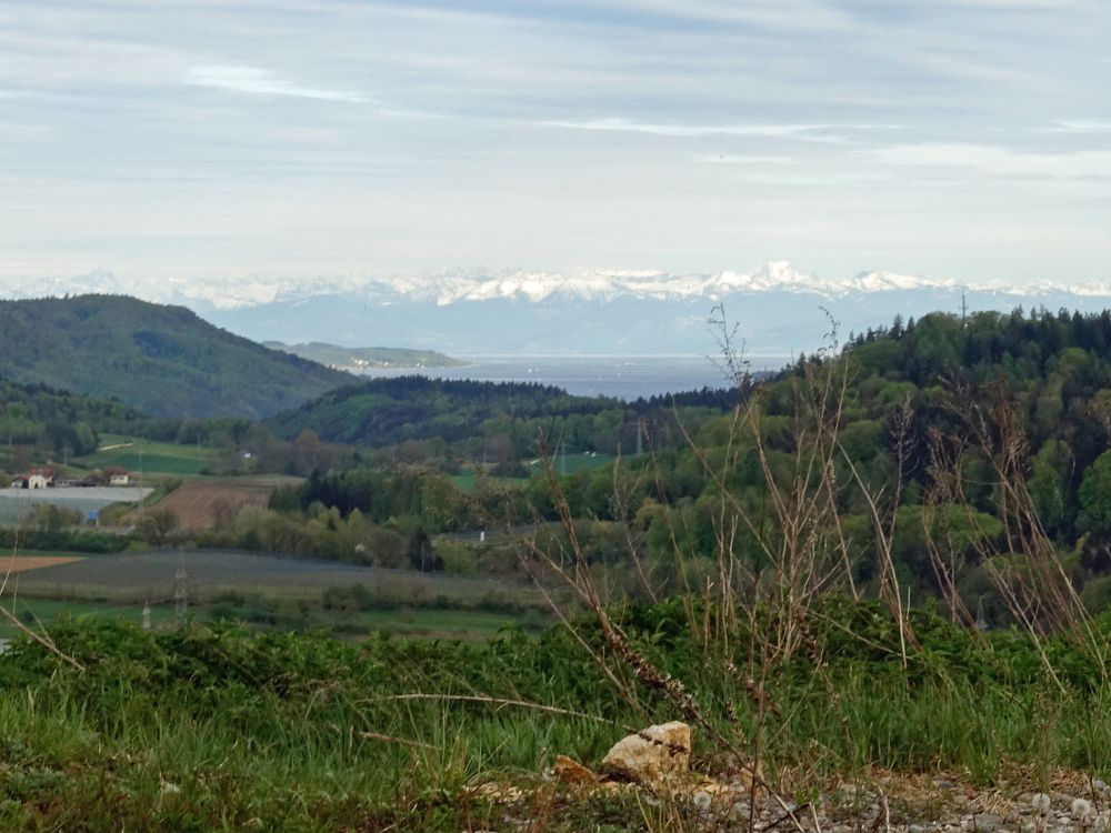 Überlinger See und Alpensicht