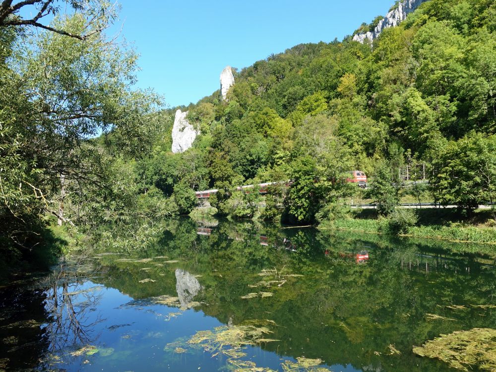 Donau bei Neumühle