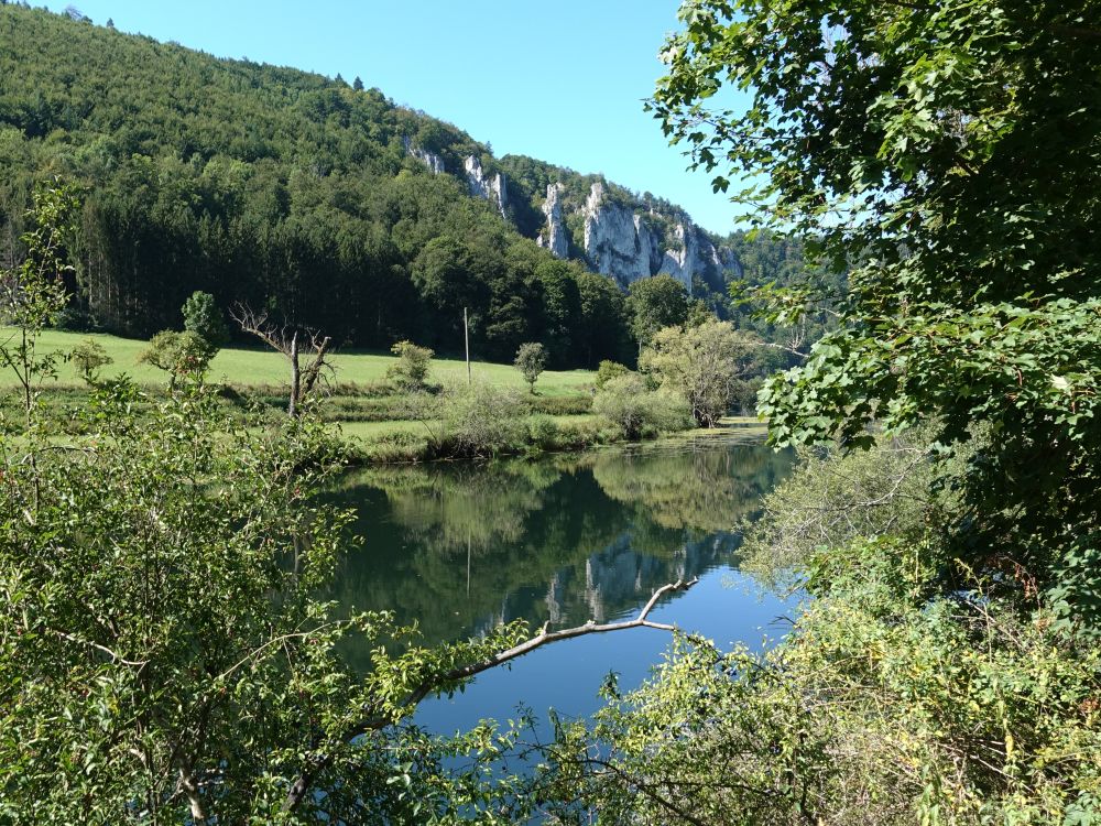 Donau bei Neumühle