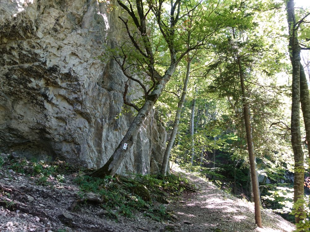 Bergpfad entlang einer Felswand