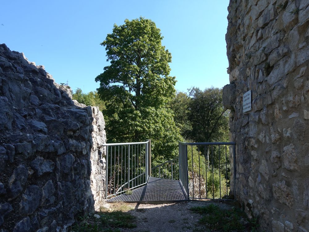 Ruine Falkenstein